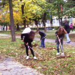 Заједничка акција чишћења лишћа ученика и радника Основне школе „Јован Јовановић – Змај“ у Свилајнцу.