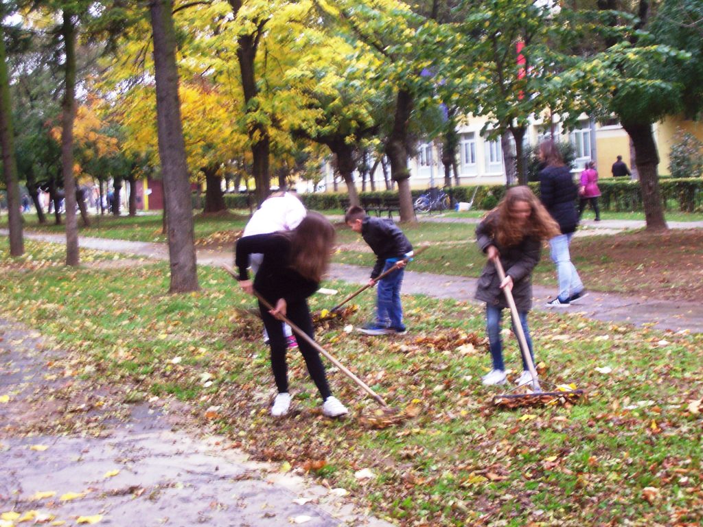 Заједничка акција чишћења лишћа ученика и радника Основне школе „Јован Јовановић – Змај“ у Свилајнцу.