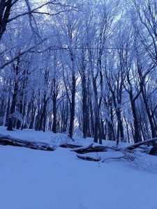 Фотографије Александра Васића из Планинарског друштва "Бељаница" из Свилајнца.