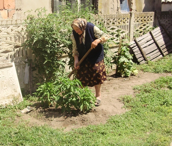 Баба Рада у својој башти