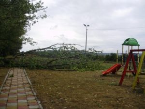 Јак ветар у Свилајнцу оборио Тополу на дечије игралиште у насељу Врачар