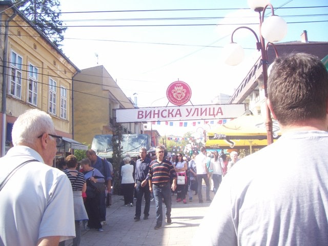 Винска улица у центру Александровца