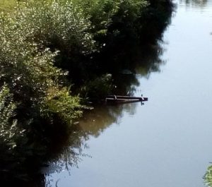 Стоп вандалима Бачена клупа из парка у Ресаву