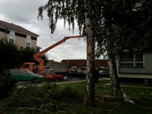 Чишћење Свилајнца после синоћни невремена