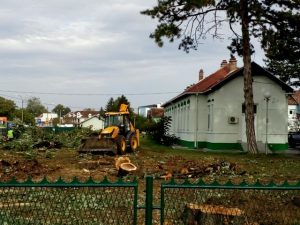 Стацинарни део Дома здравља после санитарне сече стабала.