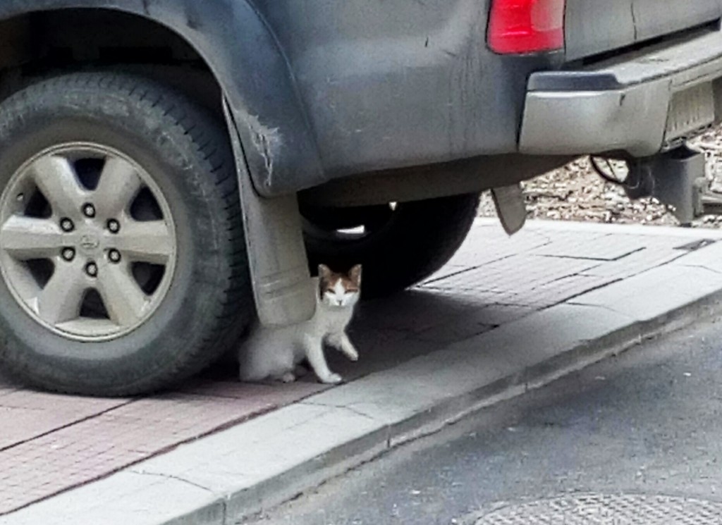 У заклону