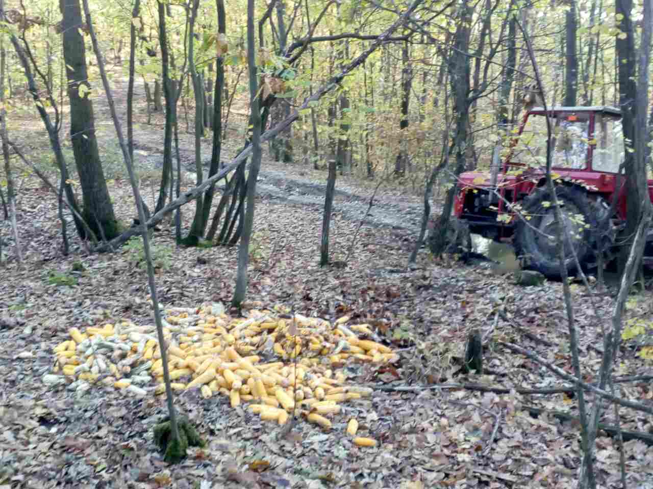 Прихрана дивљачи на обронцима Рудника